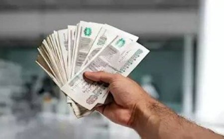 ارتفاع عائد الشهادات البلاتينية البنك الاهلى المصرى إلى 17.25%.. تفاصيل جديدة وموعد التطبيق