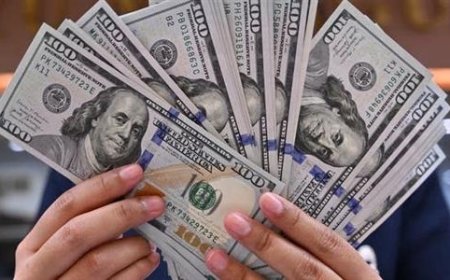 سعر الدولار مقابل الجنيه المصري اليوم السبت 25 أبريل 2026.. استقرار ملحوظ بالبنوك