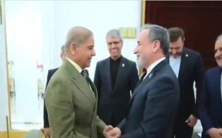 رئيس وزراء باكستان محمد شهباز شريف يلتقي وزير خارجية إيران في إسلام آباد