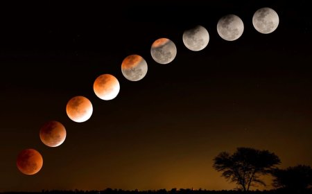 كسوف الشمس الكلي 2026.. ظاهرة فلكية نادرة تحول النهار إلى ظلام تام