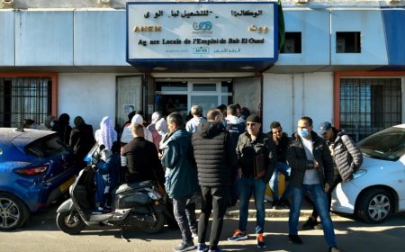 منصة طعون منحة البطالة.  تفاصيل جديدة وإجراءات رقمية لتعزيز الشفافية وتسريع المعالجة