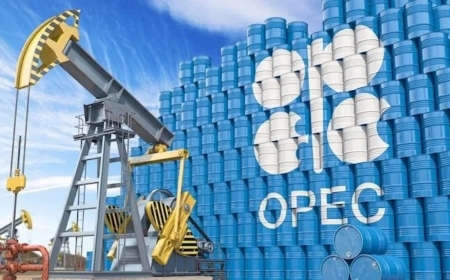 قرار مفاجئ من الإمارات بشأن الاستمراى في منظمة اوبك.. ما التفاصيل؟
