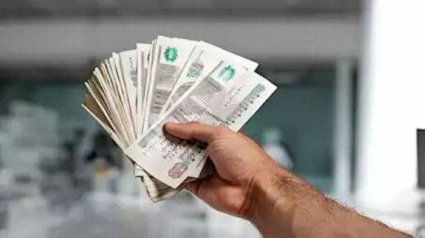 ارتفاع عائد الشهادات البلاتينية البنك الاهلى المصرى إلى 17.25%.. تفاصيل جديدة وموعد التطبيق