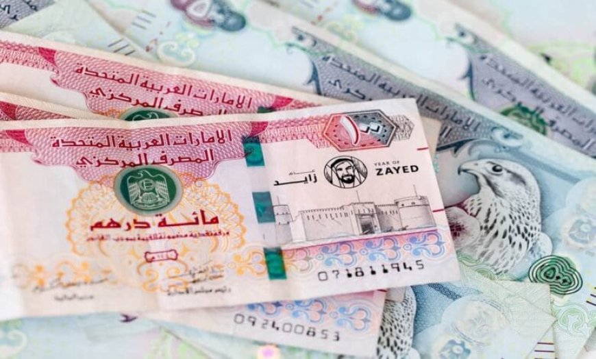 استقرار سعر الدرهم الإماراتي مقابل الجنيه اليوم السبت 25 أبريل 2026 في البنوك المصرية