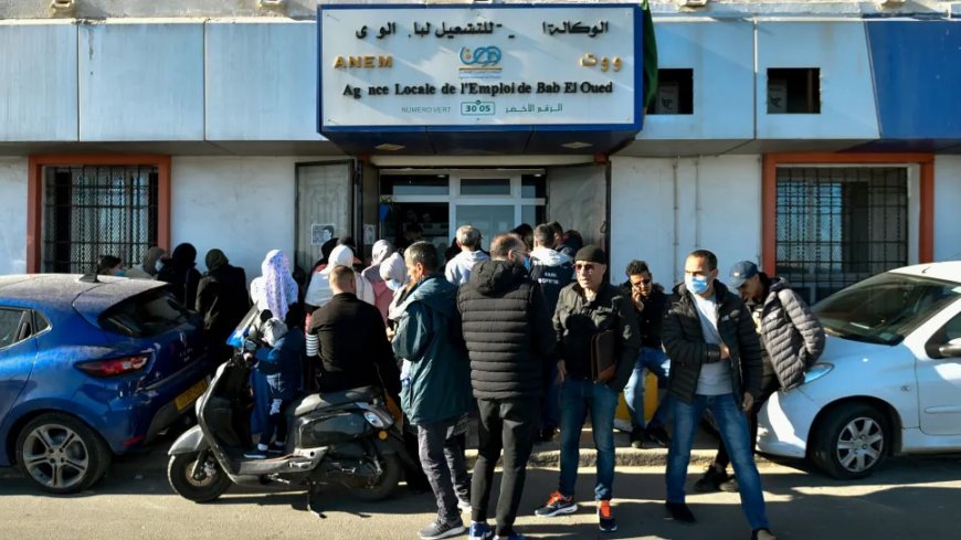 منصة طعون منحة البطالة.  تفاصيل جديدة وإجراءات رقمية لتعزيز الشفافية وتسريع المعالجة