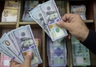 سعر الدولار مقابل الجنيه اليوم في البنوك المصرية الجمعة 8 مايو 2026