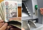 موعد صرف معاشات شهر يونيو 2026.. تعرف على حقيقة زيادة المعاشات الجديدة