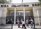 موعد افتتاح حديقة الحيوان بالجيزة 2026 وتفاصيل التطوير الأخير  