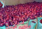 سر تخزين البصل لفترة طويلة في المنزل بدون تلف.. دليل شامل