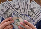 سعر الدولار مقابل الجنيه اليوم السبت 16 مايو 2026 في جميع البنوك