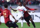 الزمالك ضد اتحاد العاصمة.. القنوات المفتوحة الناقلة للمباراة في نهائي الكونفدرالية