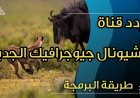 تردد قناة ناشيونال جيوغرافيك 2026.. دليلك لمتابعة أفضل البرامج بجودة عالية