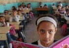 نتائج السادس الابتدائي 2026 في العراق.. الرابط الرسمي وطريقة الاستعلام