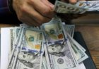 أسعار الدولار اليوم في مصر الثلاثاء 26 مايو 2026.. استقرار العملة الأمريكية بالبنوك