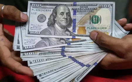 سعر الدولار مقابل الجنيه اليوم في مصر السبت 2 مايو 2026