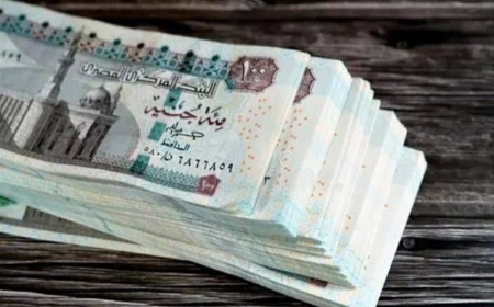 موعد صرف مرتبات مايو 2026 وجدول الصرف والفئات المستحقة