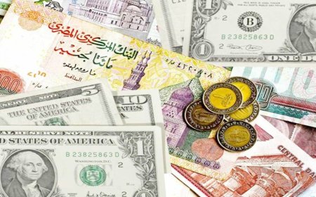 اخر تحديث.. سعر الصرف للدولار في مصر مساء الأحد 3 مايو 2026
