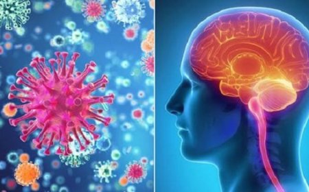 منظمة الصحة العالمية تحذر من فيروس هانتا.. الأعراض وطرق الوقاية