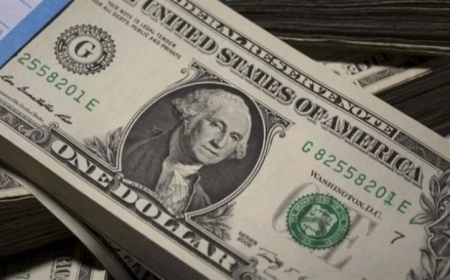 سعر الدولار مقابل الجنيه اليوم الثلاثاء 5 مايو 2026 في البنوك المصرية