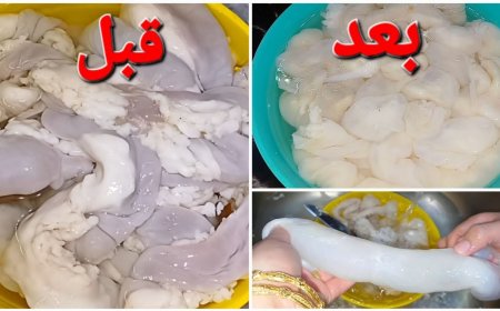 طريقة تنظيف الممبار بسهولة خطوة بخطوة بدون روائح مزعجة