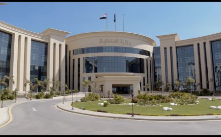 قرار هام من وزير الداخلية بشأن إبعاد عدد من الأجانب.. التفاصيل كاملة