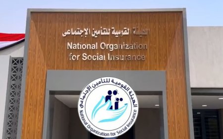 هيئة التامينات الاجتماعية تكشف أسباب تعطل سيستم المعاشات