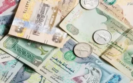 استقرار سعر الدرهم الإماراتي أمام الجنيه المصري اليوم الجمعة 8 مايو