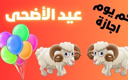 موعد اجازة عيد الاضحى 2026 في مصر.. تعرف على الإجازات الرسمية المتبقية