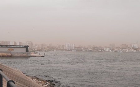 عاصفة خماسينية تضرب مصر وارتفاع قياسي في درجات الحرارة