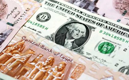 سعر الدولار مقابل الجنيه المصري اليوم السبت 9 مايو 2026  في البنوك