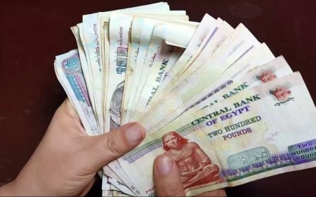 طريقة الاستعلام عن معاشات يونيو 2026 وخطوات الصرف بسهولة