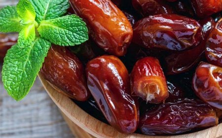 فوائد تناول التمر.. سر طبيعي لتعزيز الصحة وتنظيم الطاقة في الجسم