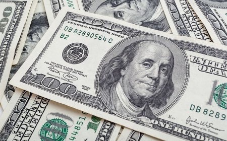 كيف جاء سعر الدولار في البنوك المصرية اليوم 13 مايو 2026؟