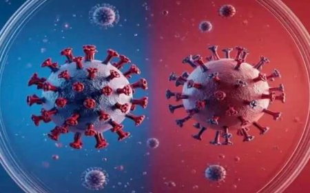 فيروس هانتا.. أعراض خطيرة وطرق الوقاية من العدوى القاتلة