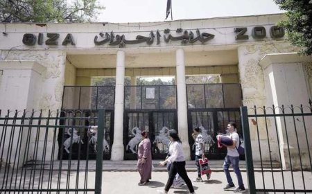موعد افتتاح حديقة الحيوان بالجيزة 2026 وتفاصيل التطوير الأخير  