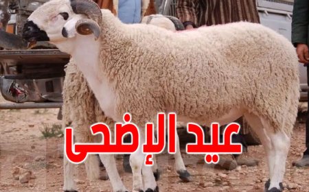 موعد اجازه عيد الاضحى المبارك 2026 في مصر وعدد أيام العطلة الرسمية