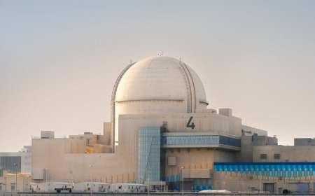 مصر تؤكد دعمها الكامل للإمارات بعد استهداف محطة براكة للطاقة النووية