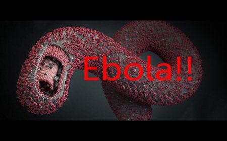 تفشي "مرض فيروس إيبولا" في دولتين وتحذيرات عاجلة من الصحة العالمية