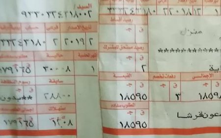 طريقة الاستعلام عن فاتورة كهرباء مايو 2026 إلكترونيًا بسهولة