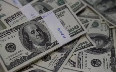 سعر الدولار اليوم في البنوك المصرية.. تباين الأخضر مع نهاية التعاملات