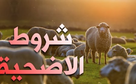 عيوب تبطل الأضحية.. حالات تمنع قبول الذبيحة شرعًا في عيد الأضحى 2026