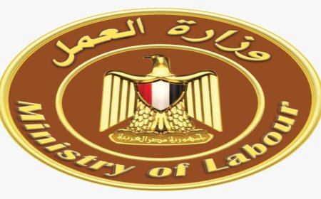 وظائف وزارة العمل برواتب تصل إلى 23 ألف جنيه.. فرص مميزة للشباب في تخصصات مطلوبة