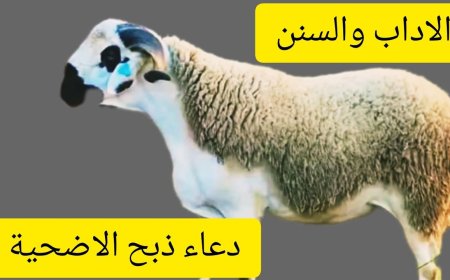 دعاء ذبح الأضحية.. أدعية وسنن مستحبة لإحياء شعيرة عيد الأضحى المبارك