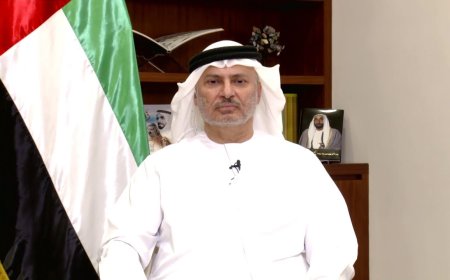 تصريحات أنور قرقاش الأخيرة عن مضيق هرمز وتحذيرات من تصعيد خطير