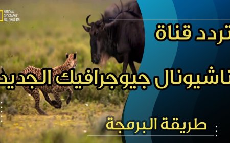 تردد قناة ناشيونال جيوغرافيك 2026.. دليلك لمتابعة أفضل البرامج بجودة عالية