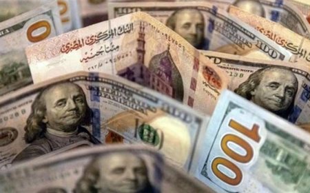 سعر الدولار مقابل الجنيه اليوم 24 مايو 2026 في جميع البنوك المصرية