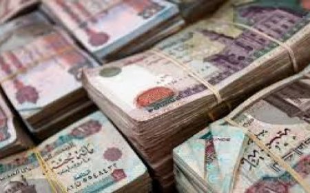 منحة مالية 2026.. الحكومة تقرر صرف 2400 جنيه للعمالة غير المنتظمة