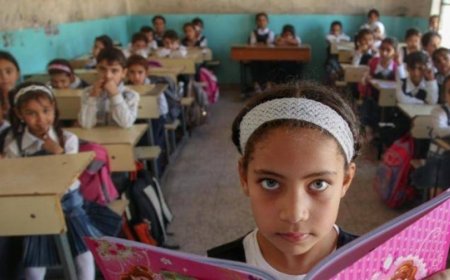 نتائج السادس الابتدائي 2026 في العراق.. الرابط الرسمي وطريقة الاستعلام