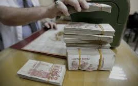 منحة البطالة.. وزير العمل الجزائري يوجه بتسريع دراسة الطعون وتحسين الخدمات الرقمية