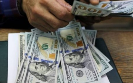 أسعار الدولار اليوم في مصر الثلاثاء 26 مايو 2026.. استقرار العملة الأمريكية بالبنوك